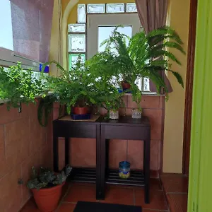 Naturalmente Torrox Park Apartamento